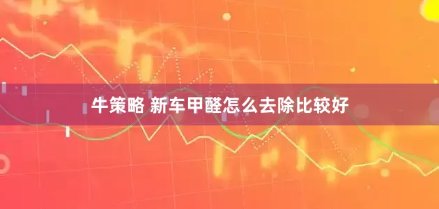 牛策略 新车甲醛怎么去除比较好