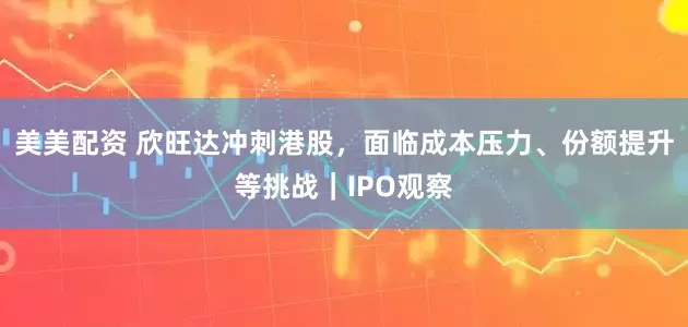 美美配资 欣旺达冲刺港股，面临成本压力、份额提升等挑战｜IPO观察
